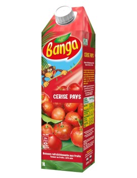 BANGA CERISE PAYS 1L
